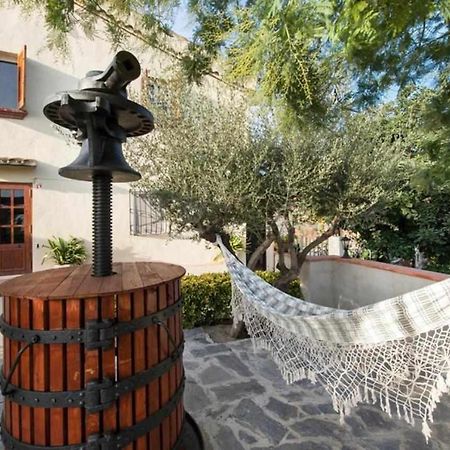 Masia Can Tramontana Konuk evi Tiana Dış mekan fotoğraf