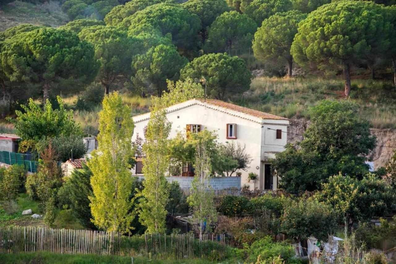 Masia Can Tramontana Konuk evi Tiana Dış mekan fotoğraf